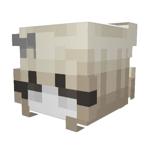 ConfusedMeggles Minecraft avatar head, 3D render