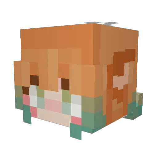ConfusedMicha Minecraft avatar head, 3D render