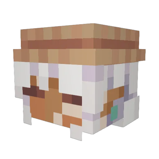 ConfusedMudkip Minecraft avatar head, 3D render