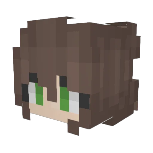 Confused_Ems Minecraft avatar head, 3D render