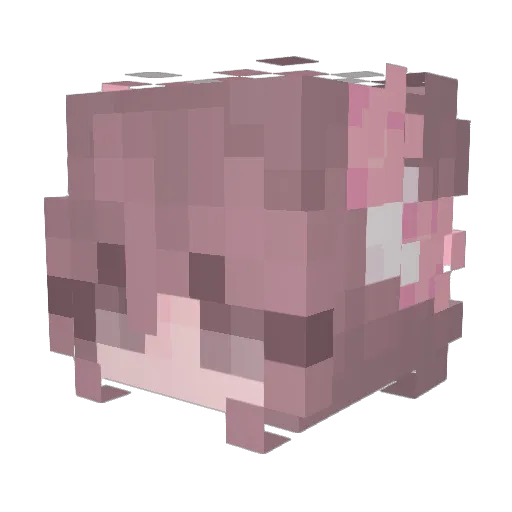 Confusedfimm Minecraft avatar head, 3D render
