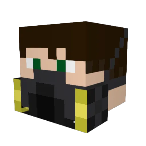 Confusion1803 Minecraft avatar head, 3D render