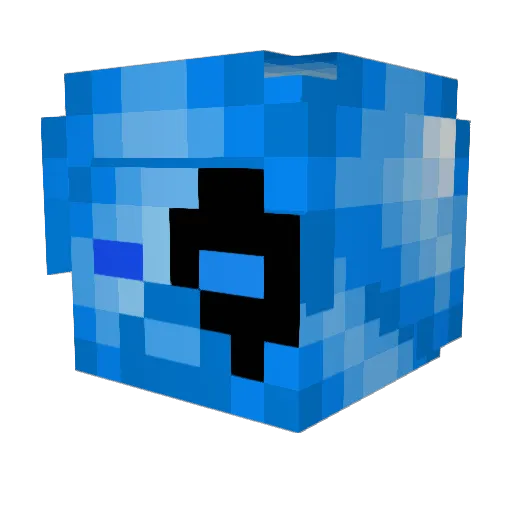 Confusion500 Minecraft avatar head, 3D render