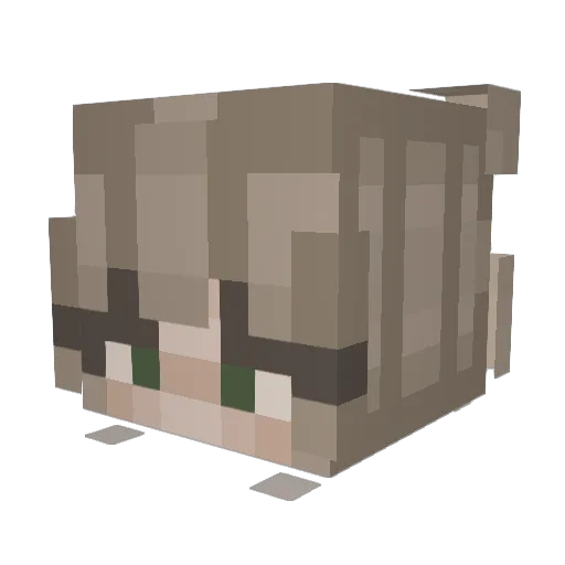 Confusionism_ Minecraft avatar head, 3D render