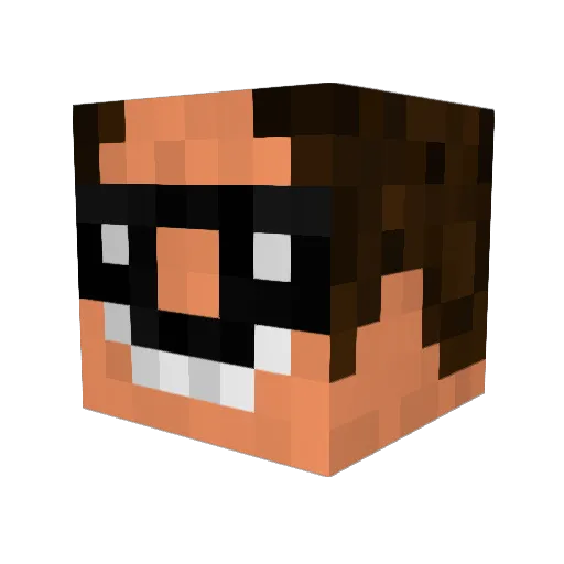 Confuszed Minecraft avatar head, 3D render