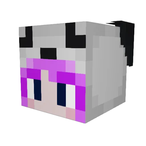 ConfuzedPanda Minecraft avatar head, 3D render