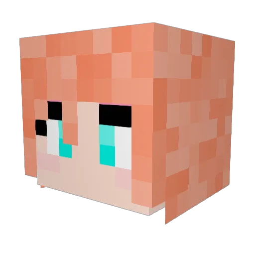 Confuzzled221 Minecraft avatar head, 3D render
