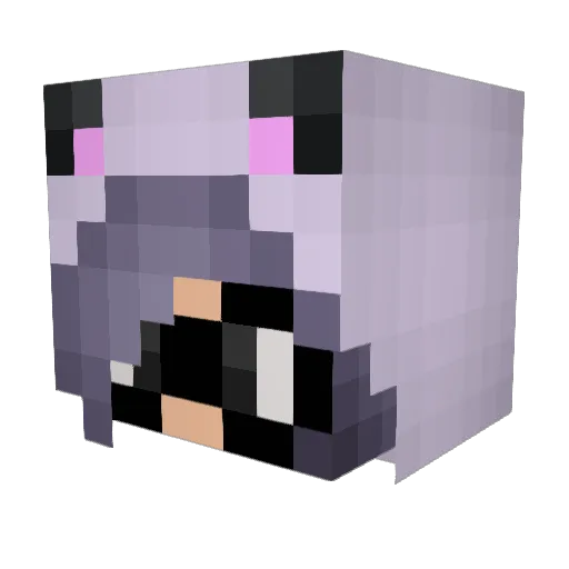 ConfuzzledPanda Minecraft avatar head, 3D render