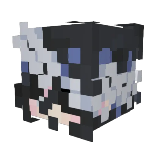 Confxsed Minecraft avatar head, 3D render