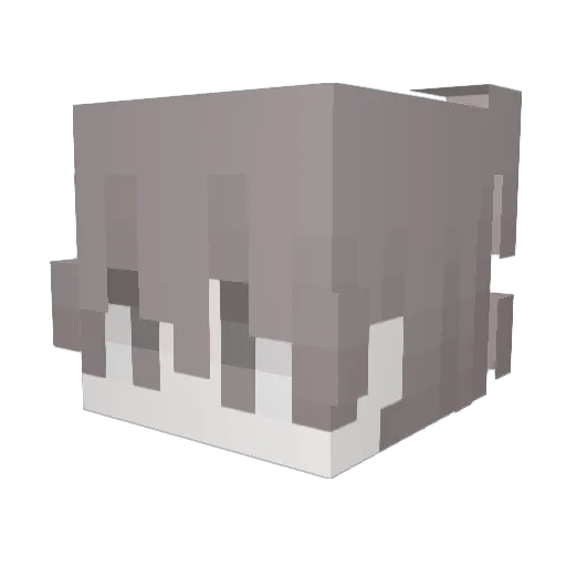 CongTuDongNai Minecraft avatar head, 3D render