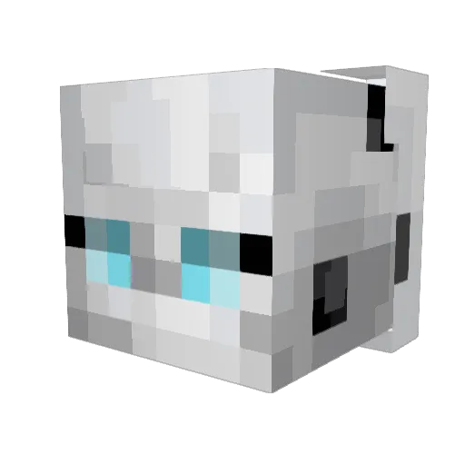 CongaSpy Minecraft avatar head, 3D render