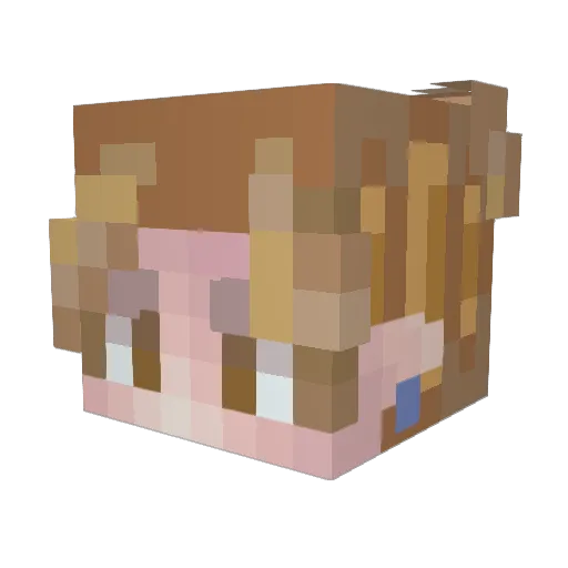 Congestieus Minecraft avatar head, 3D render