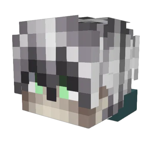 Minecraft-Avatar von CongroX: Kopf als 3D-Render