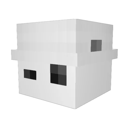 Congui_ Minecraft avatar head, 3D render