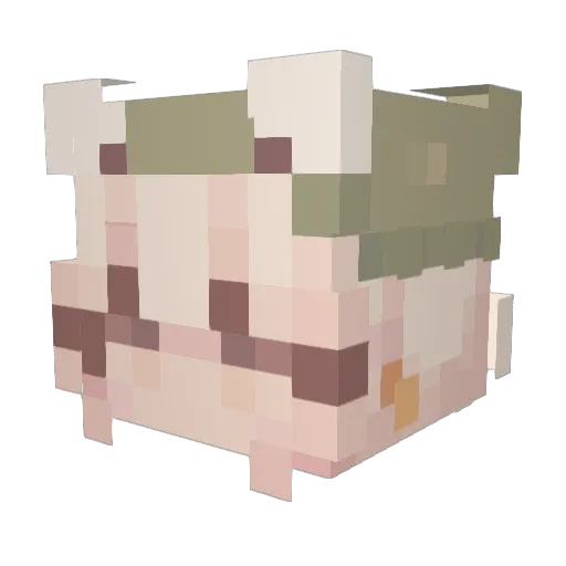 Conidev Minecraft avatar head, 3D render