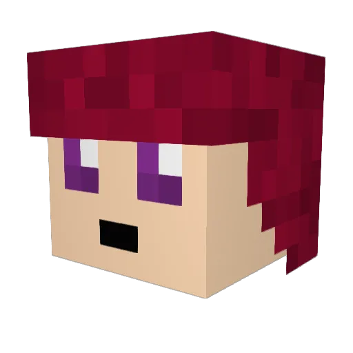 Conifer_Creates Minecraft avatar head, 3D render