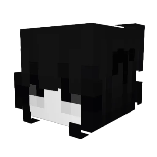 Coniis Minecraft avatar head, 3D render