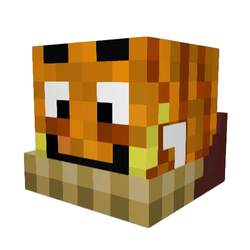 ConinYT Minecraft avatar head, 3D render