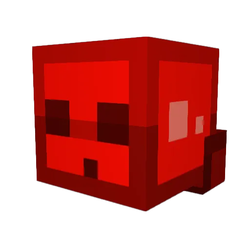 Conlor11 Minecraft avatar head, 3D render