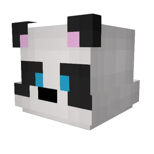 Conn_dor Minecraft avatar head, 3D render