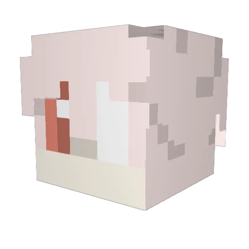 Connec Minecraft avatar head, 3D render