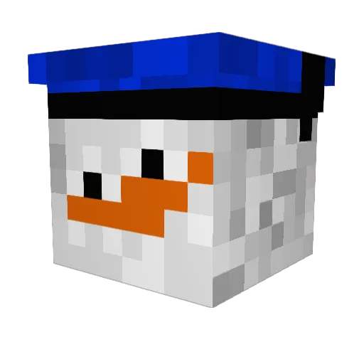 Conneriscool Minecraft avatar head, 3D render