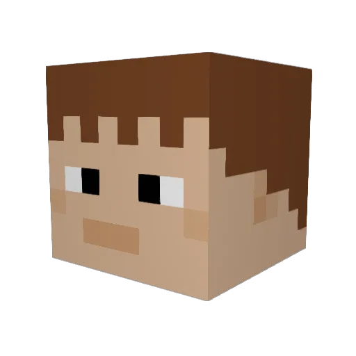 ConnersCool Minecraft avatar head, 3D render