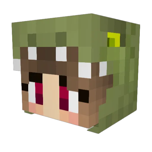 ConnervanK Minecraft avatar head, 3D render