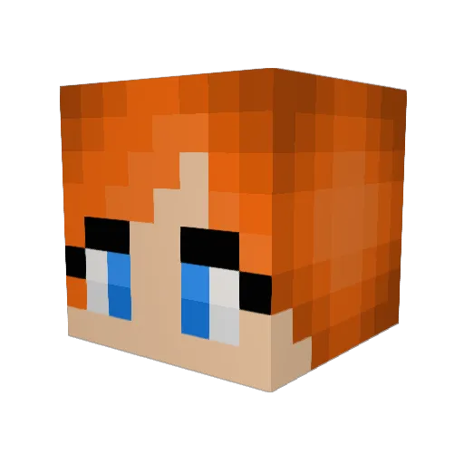 Connie_Grayson Minecraft avatar head, 3D render