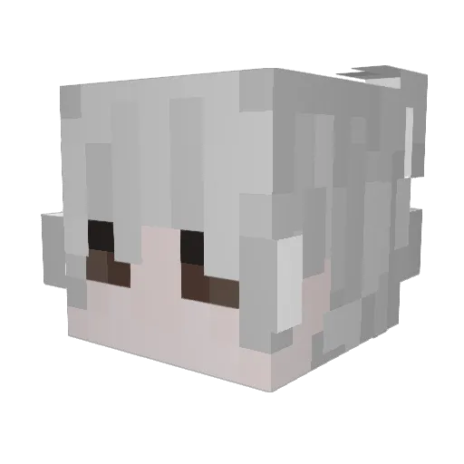 Connnnrr Minecraft avatar head, 3D render