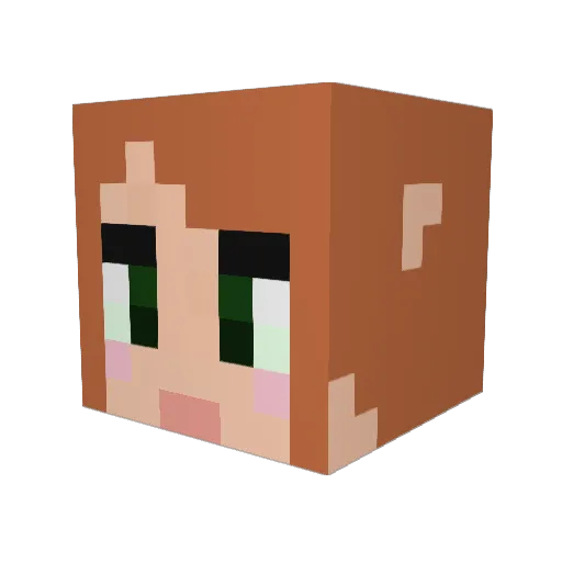 Connor12666 Minecraft avatar head, 3D render