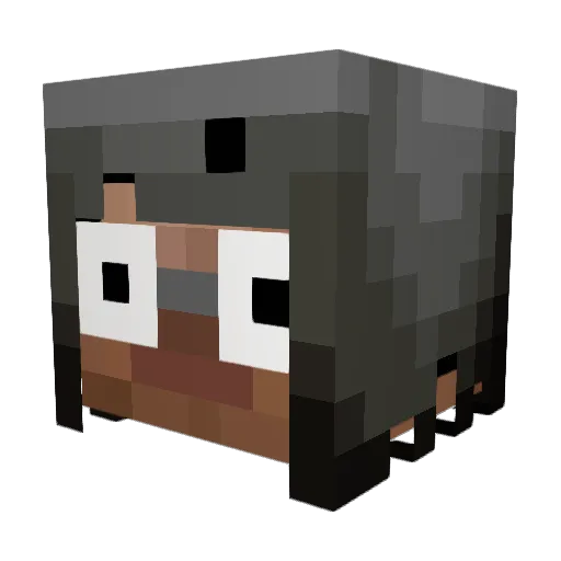 ConnorChaos Minecraft avatar head, 3D render
