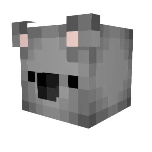 ConnorJay05 Minecraft avatar head, 3D render