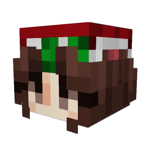ConnorLynx Minecraft avatar head, 3D render