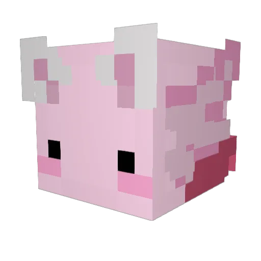 ConnorMck34 Minecraft avatar head, 3D render