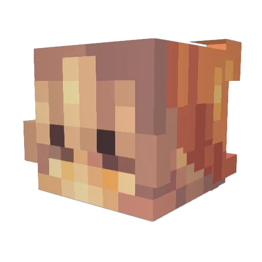 ConnorOn2fps Minecraft avatar head, 3D render