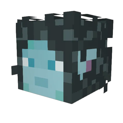 Connoranator Minecraft avatar head, 3D render