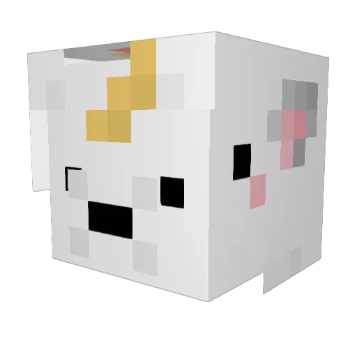 Connorh4 Minecraft avatar head, 3D render