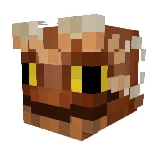 Connorses Minecraft avatar head, 3D render