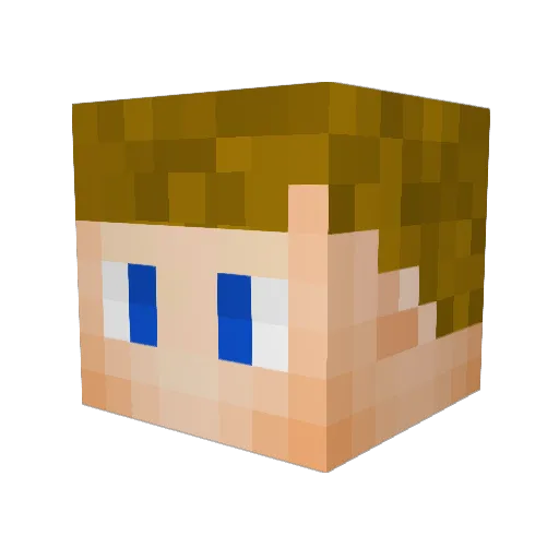 Connorthe0311 Minecraft avatar head, 3D render