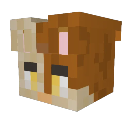 ConnyBun Minecraft avatar head, 3D render