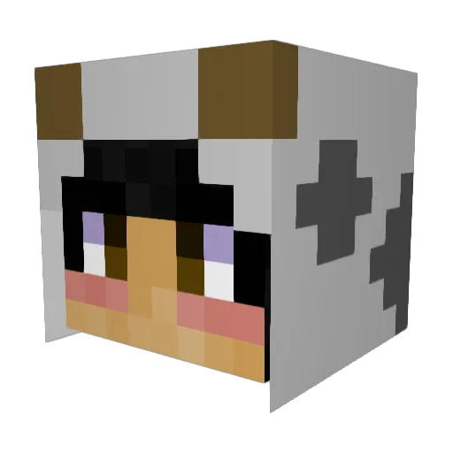 ConnyPonny5245 Minecraft avatar head, 3D render
