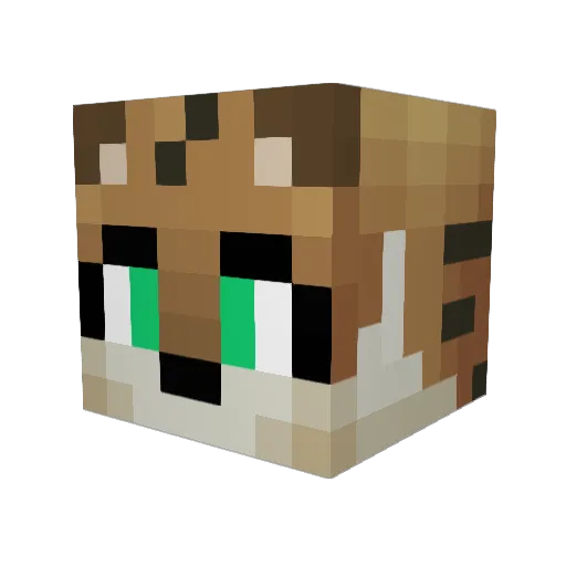 Conolski Minecraft avatar head, 3D render
