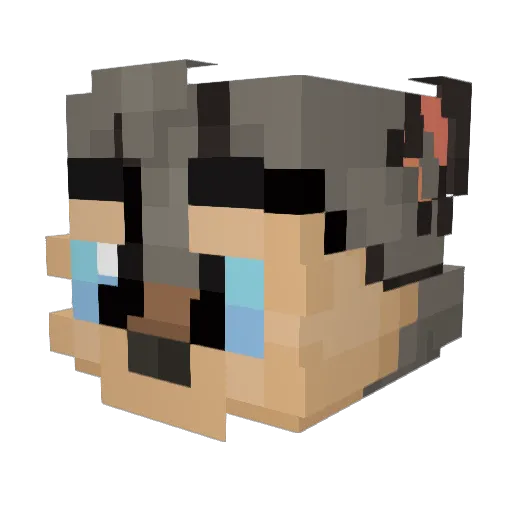 Conor_Is_Cool Minecraft avatar head, 3D render