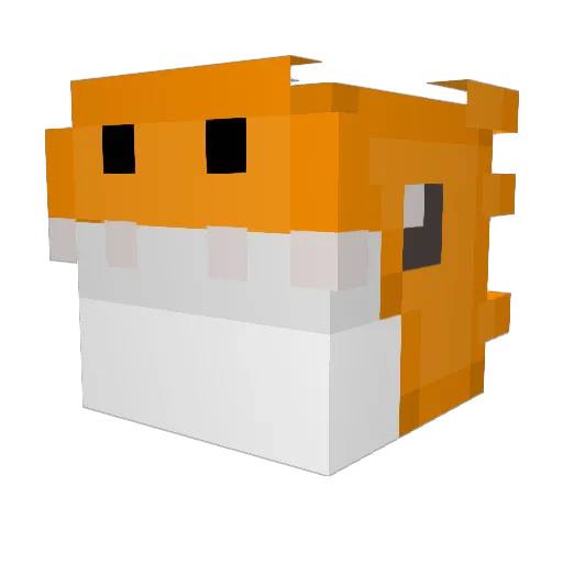 Conot Minecraft avatar head, 3D render