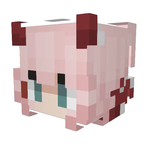 Conquavious Minecraft avatar head, 3D render