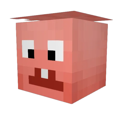 ConradWalker Minecraft avatar head, 3D render