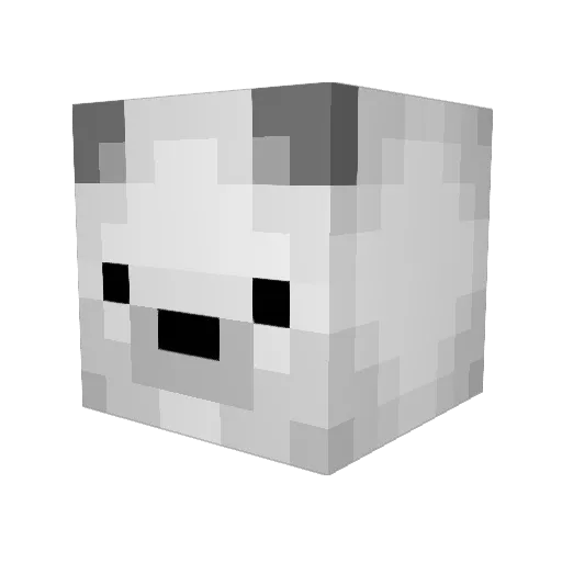 Conrad_der_Baer Minecraft avatar head, 3D render