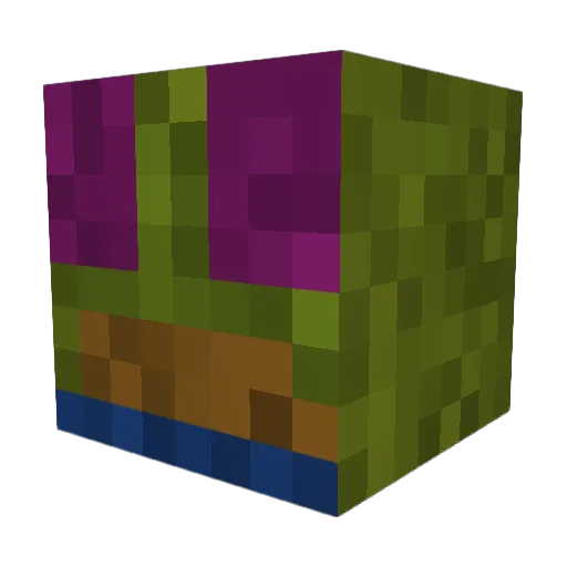 Conscious_Con Minecraft avatar head, 3D render