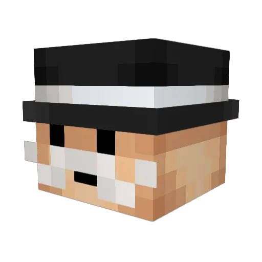ConspiracyFish Minecraft avatar head, 3D render